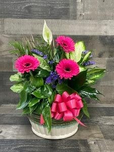 DISH GARDEN DELUXE – Flowers By Steve, Inc., Haverhill MA