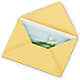 Greeting Card – Flowers By Steve, Inc., Haverhill MA