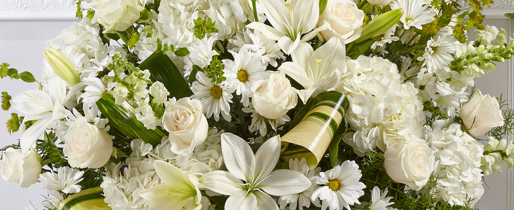 Sympathy Collection Sets