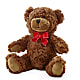 Adorable Plush Bear –  Flowers By Steve, Inc., Haverhill MA