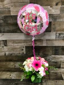 BABY GIRL ARRANGEMENT –  Flowers By Steve, Inc., Haverhill MA