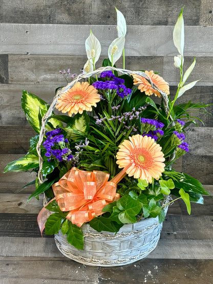Pastel Planter –  Flowers By Steve, Inc., Haverhill MA