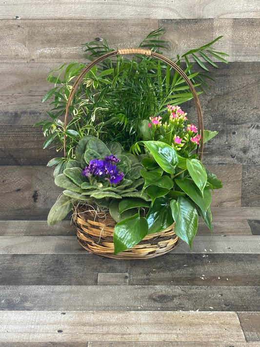 Blossoming Planter