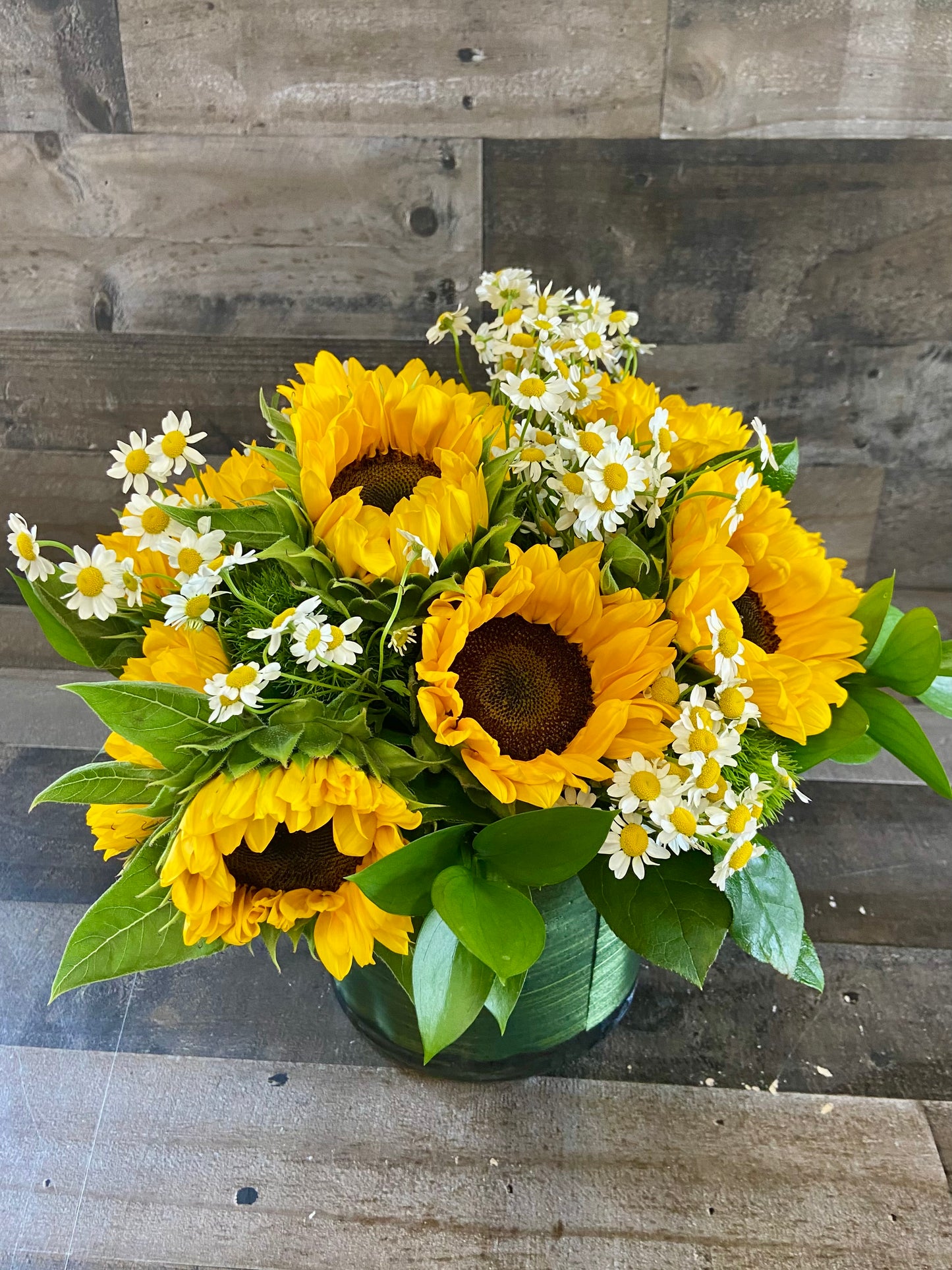 Sunflower fields