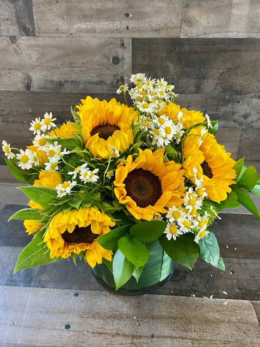 Sunflower fields