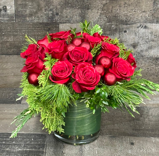 Compact Christmas Roses