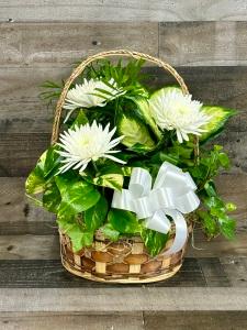 Peace Planter –  Flowers By Steve, Inc., Haverhill MA