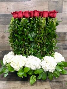 Red Rose Hedge –  Flowers By Steve, Inc., Haverhill MA