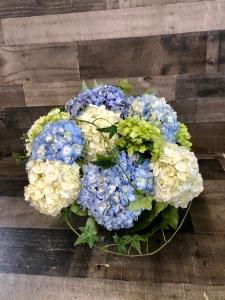 Simply Hydrangea –  Flowers By Steve, Inc., Haverhill MA